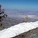 Beim Abstieg vom Gipfel auf über 3000m: Schneefelder hoch über der "Hitzehölle" des Death Valley. Als ich später wieder unten war, hat die Temperaturanzeige des Autos 99F (37 Grad Celsius) angezeigt. Und das im Mai! Wie muss es dort erst im Hochsommer sein?