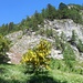 Maggiociondoli 3