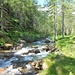 Verso Ombaroro nel tratto pianeggiante che costeggia il torrente.