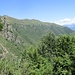 salendo verso l'Alpe Arolgia : cresta del Pizzo Leone