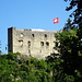 Burgruine Gilgerberg von der Rückseite