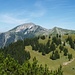 Schafreuter und Delpsjoch