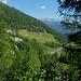 L' ampia radura prativa dell' Alpe di Sfii
