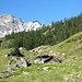 Alpe Sfii