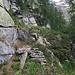Probabile resto di un sentiero di collegamento tra il piccolo rudere di quota 1930 m circa e l'Alpe Groppo