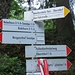 Etwa nach einer Stunde ist erstmals und bis auf weiteres das einzige Mal das Rubihorn ausgeschildert.