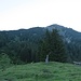 Der Steig führt in die markante Wald- bzw. Latschengasse (linkes Bilddrittel) hinein, dort dann hinauf bis zur Grat, dem Niedereck.