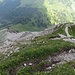 Der nordseitige Abstieg vom Entschenkopf besteht aus Schrofen- und Geröllgelände. Der Kopf im rechten Mittelgrund des Fotos stellt das einzig erwähnenswerte Hindernis dar: dort .....