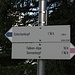 Es geht nun Richtung Falken-Alpe, beim Abstieg zur Gaisalpe wird diese aber nicht erreicht, sondern kurz zuvor .....