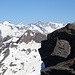 Jungfrau, Wannenhorn, Monch, Finsteraarhorn e altre vette tra cui forse l'Eiger.
