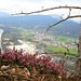 über den Rücken zum Großen Barmstein mit Blick ins Salzachtal