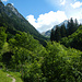 Noch ein Blick zurück zur Zimba, bevor der Steig im Wald verschwindet.