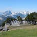 über der Alp auf P. 1550 - mit schönem Ausblick - zurück ...