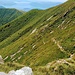 Il sentiero che scende sul versante est del Cugnacorta e va a "perdersi" nella fitta vegetazione