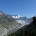 Blick zum Aletschgletscher