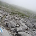 Etwas oberhalb der Alp Lauweli, von wo an die Markierungen von rot-weiss auf blau-weiss wechseln