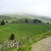 Tritthütte, oben ilm Nebel irgendwo der Niderbauen-Chulm