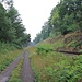 Waldbahntrasse, Blickrichtung: Dreizipfel, Parallelführung zur Bahnstrecke Česká Lípa (Böhmisch Leipa) - Bakov nad Jizerou (Backofen an der Iser)