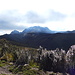 Blick hinüber Richtung alter Pichincha