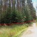 Bahntrasse, Blickrichtung: Rečkov, kurz nach der Trennung vom Weg verliert sich die Trasse, bzw. ist unbegehbar..