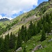 Endlich: die Stimmung wird allmählich etwas alpiner.