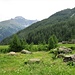 Le prime baite dell'Alpe Vallè.