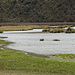 Lagune Limpiopungo