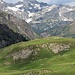 Un gregge di capre vallesane nei pressi dell'Alpe Pianezzoni.