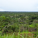 Ausblick auf das weite Dschungelgebiet von Cuyabeno