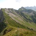 Der Gantspitz ist ein Schafberg. Von seinem Gipfel aus steigt man über Wiesenhänge hinunter zum nächsten Einschnitt, der Ganthöchi.