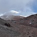 Direkt an der Rivas-Hütte dann wieder Bergsicht (zu sehen ist die Abstiegsspur vom Gletscher runter, man soll hier nicht aufsteigen - der Aufstieg ist rechts von der Hütte)