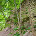 Mauerreste der Ruine Monsberg