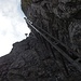 die "berühmte" schräge Leiter in Richtung Rubihorn