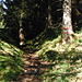 The path between Ralli and Unter Stafel. Some old red and white trail marks can still be seen, but it's not an official trail (anymore).