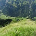 Auf P. 1893. Das Gipfelchen fällt mit äußerst steilen Grasflanken ins Oytal hinunter ab.