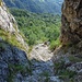 Canalino