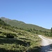 <b>Dopo 1,3 km il sentiero si immette sulla strada che da Curaglia permette di accedere all’Alp Pazzola (1865 m). </b>