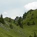 schönes grünes Gelände- typisch Bayerische Voralpen