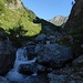 Wildnis