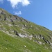 ein steile Wiese