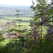Blick von der Veste auf Ohlstadt und Murnau