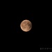 La luna piena dopo l'eclissi di luna rossa, purtroppo già passata