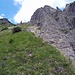 Steilgrasanstieg im Schinderkar an der Südwand (oben links der einsame Baum)