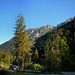 Frühmorgens am Wanderparkplatz Gadental