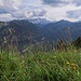Blick über die blühenden Bergwiesen ins Elmaugries und zur Zugspitze / La vista sopra i prati in fiore porta allo Zugspitze e alla valle di Elmau