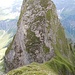 Der Abstieg vom Zweiten Gipfel in die ca. 60 Meter tief eingeschnittene Höfats-Scharte vor den Mittelgipfel ist der vergleichsweise einfachste Abschnitt der Überschreitung. 