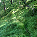 Ancien sentier Obre Stafel (Tschuggi) - Brichgigufer.
