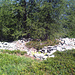 Ruines à 2046m.