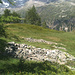 Ruines à 2060m.