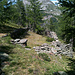 Ruines à 1976m, au nord de Chalte Brunne. Un ancien "Färicha" ?